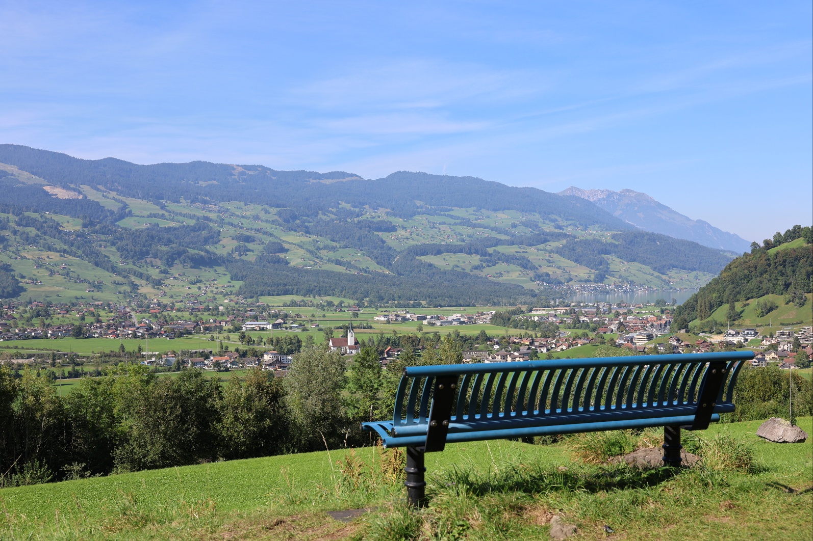 Alpine meadows